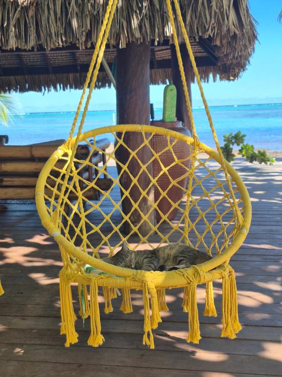Fare Tokoau Moorea, Moorea - photo 9 - Moorea, Polynésie