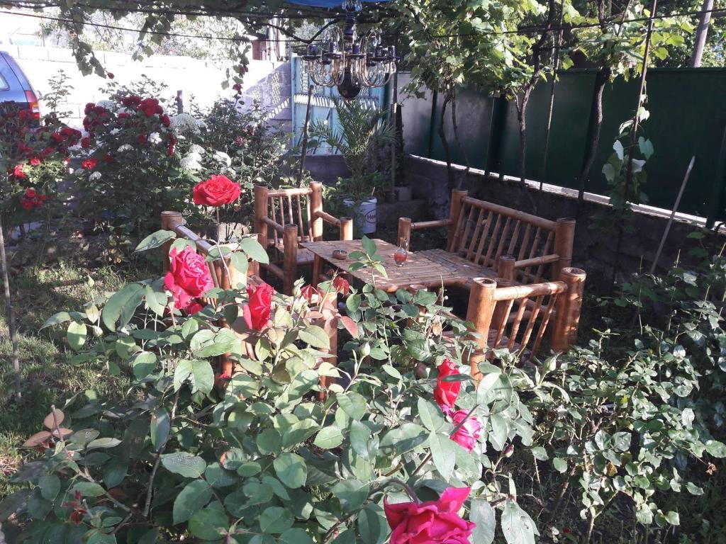 Zahrada ubytování Guest House Metreveli