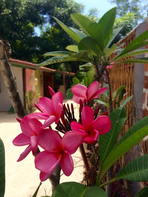 Villas SAMALAMA Gili Air - 16