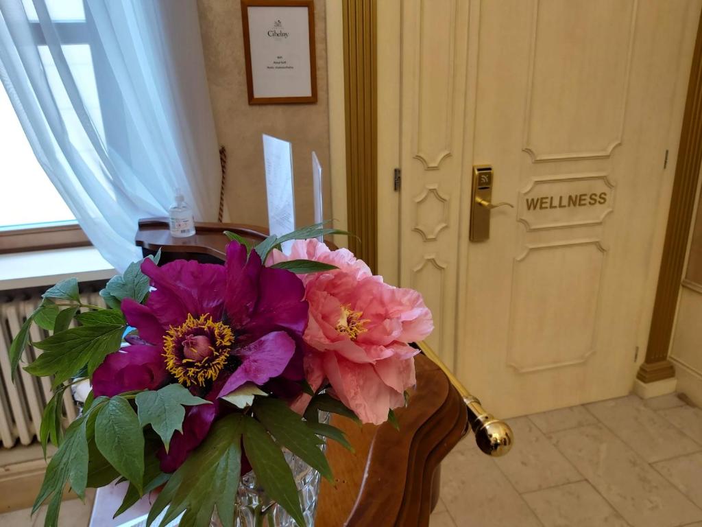 Hotel Château Cihelny - Resim 8