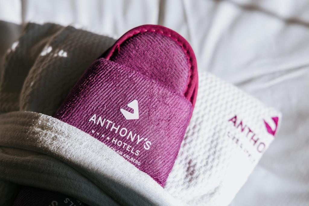 Anthony´s Alpin Hotel Garni - 10