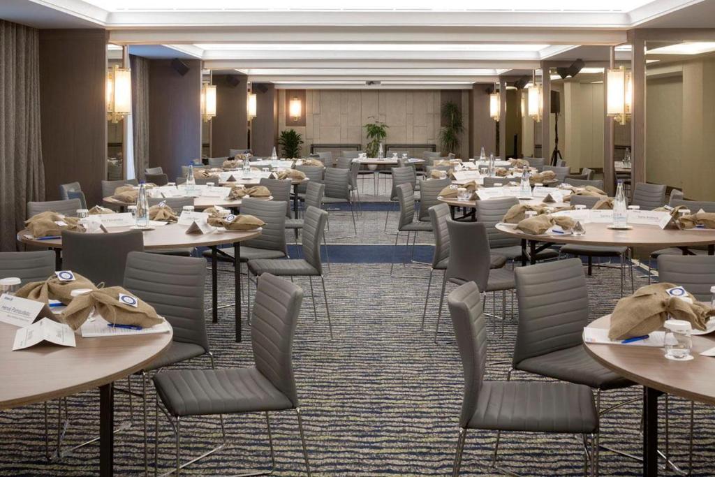 Electra Metropolis - Resim 13