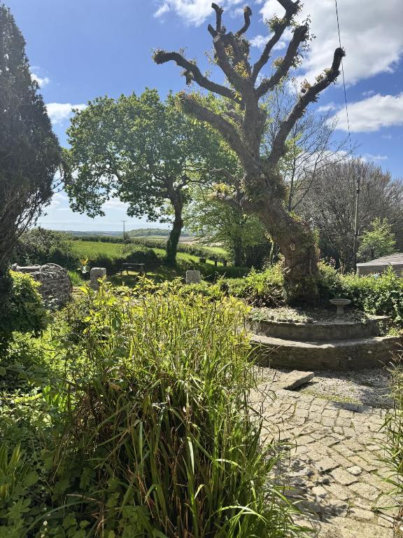 a garden with two trees and a stone path at Nuthatch by Together Travel - Luxury Cornish Countryside Retreat in Bodmin