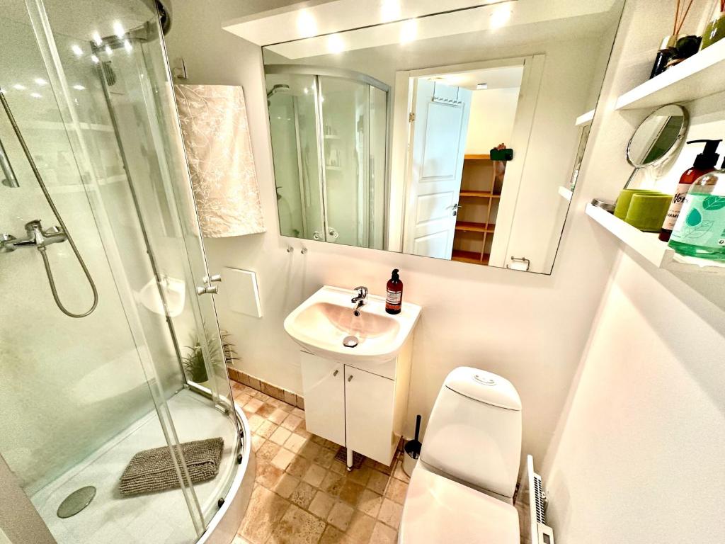 VallensbækCosy apartment with private terrace的带马桶、水槽和淋浴的浴室