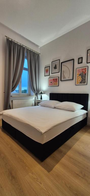 Apartamenty Sienkiewicza10 - 6