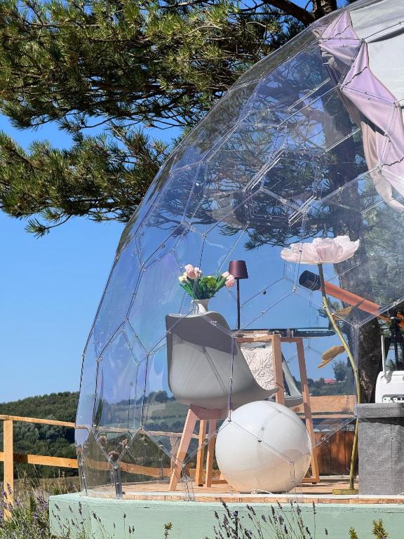 Bubble Room Experience - immagine 4