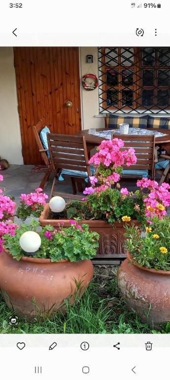 a group of pots of flowers in front of a bench at Στουντιο στο Πανοραμα in Thessaloniki