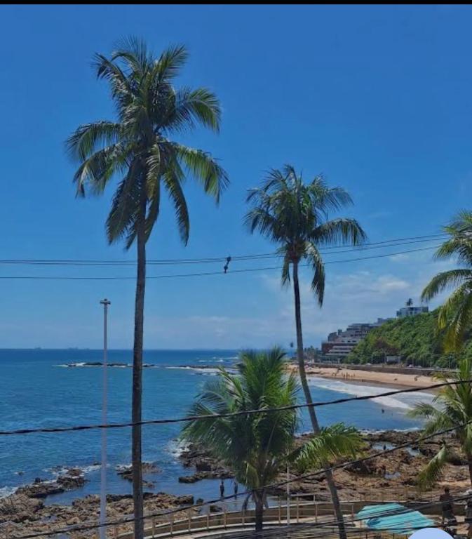 a view of a beach with palm trees and the ocean at Casa Alto da Sereia in Salvador