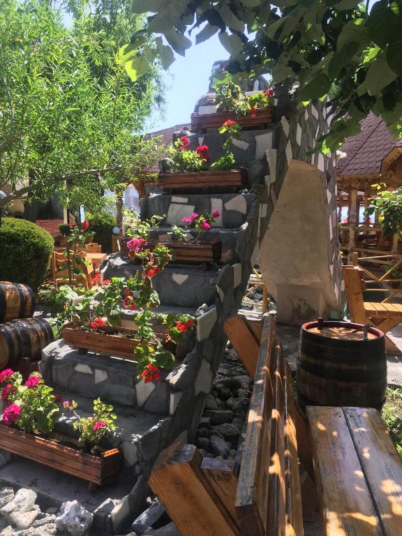 Zahrada ubytování Vila Poienita