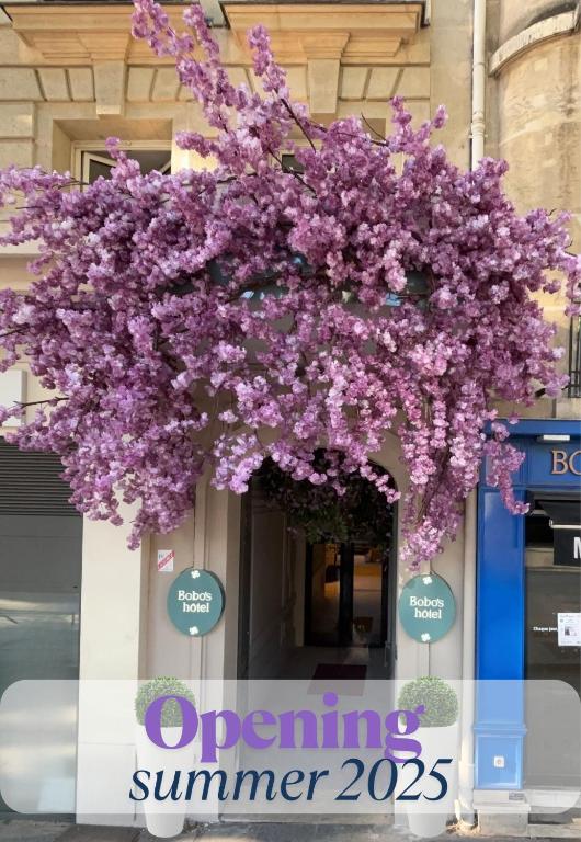 Bobo's hotel - Resim 1