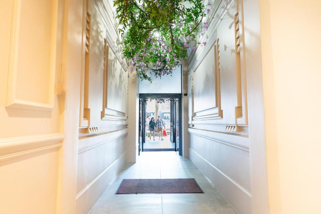 Bobo's hotel - Resim 9