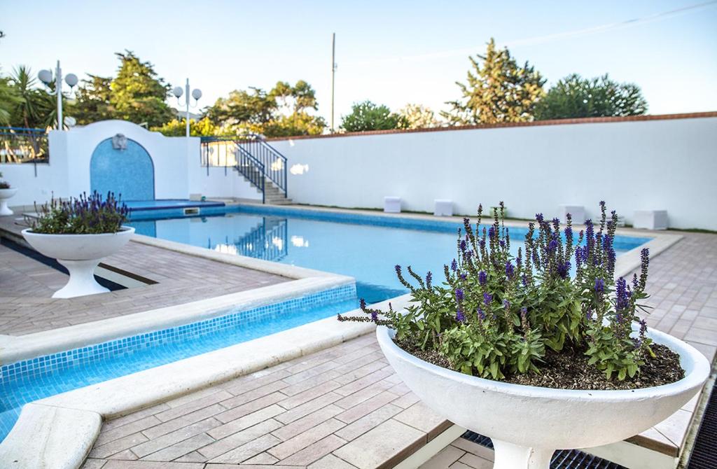a garden area with a pool of water and a blue chair at B&B Villa Tiziano in Terracina