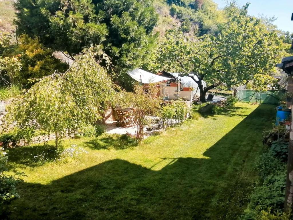 a view of a yard with trees and grass at Lom Bulgarana in Bourg-Argental