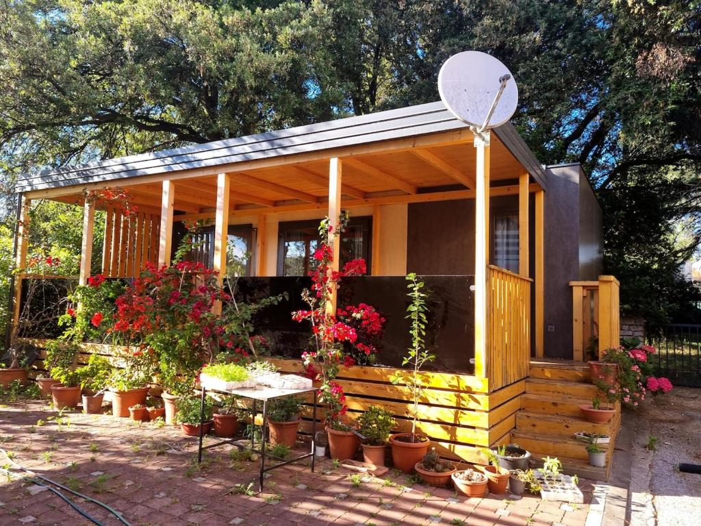 een klein huis met potplanten ervoor bij Sweet house Pakoštane in Pakoštane