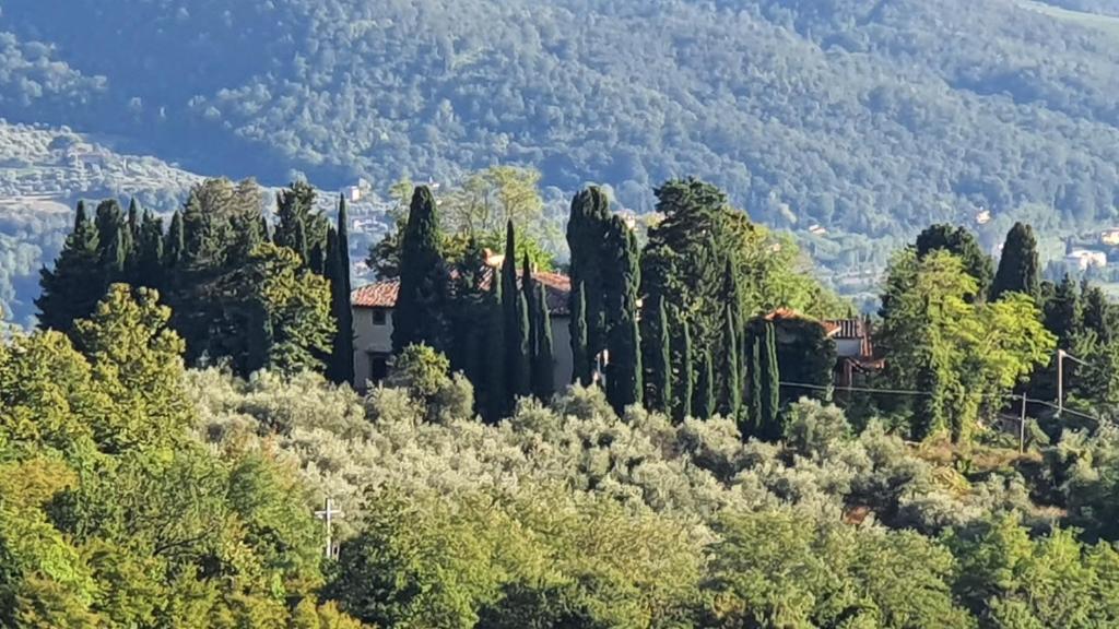 Gallery image of Villa Ca' di Monte in Scopeti