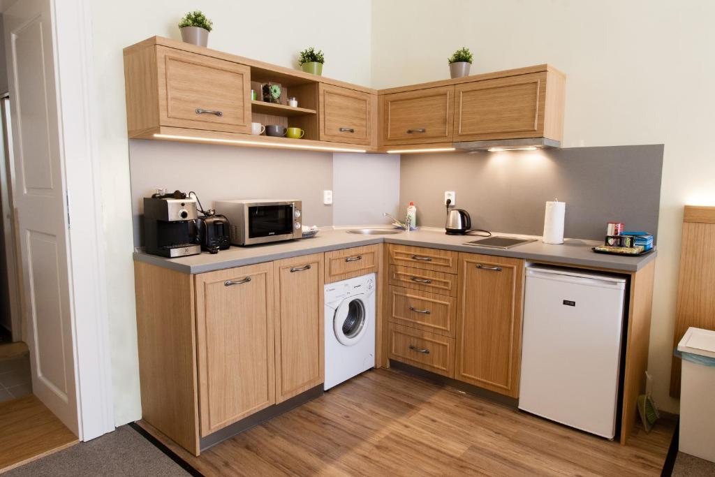 Karlova 25 Apartments - Large Studio