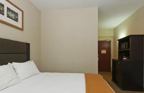 Holiday Inn Express Hotel & Suites Ottawa Airport by IHG - Resim 13