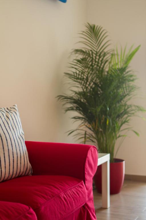 Apartments and Rooms Bonkan Hvar - 17