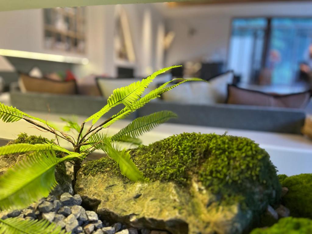 Gallery image of 阅山居客栈 in Zhangjiajie