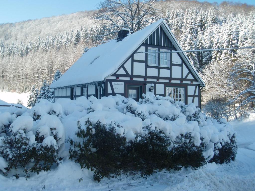 Hotel Gut Vorwald v zimě