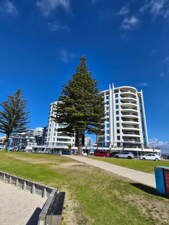 Luxury Beach Escape - 6 Adams Ave Mt Maunganui - Resim 27