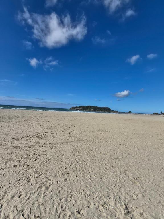 Luxury Beach Escape - 6 Adams Ave Mt Maunganui - Resim 29