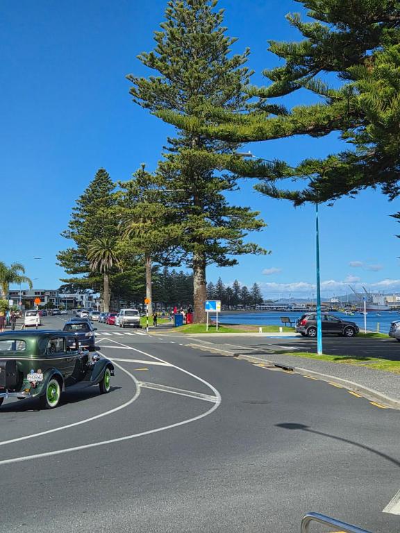 Luxury Beach Escape - 6 Adams Ave Mt Maunganui - Resim 31