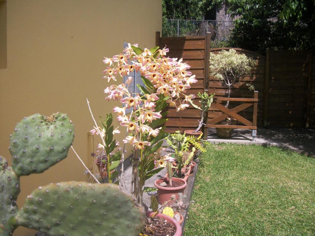 Giardino di LE RUBINJO 2
