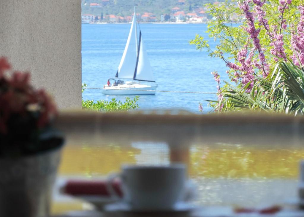 um veleiro na água com uma xícara de café em Apartment Sanja Kolovare Beach em Zadar