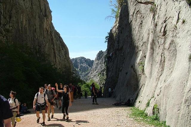 Fotografia z galérie ubytovania Matilda v destinácii Starigrad-Paklenica