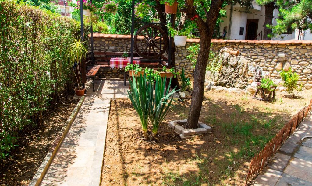 a garden with a bench and a tree at The Comfy Hostel in Skopje