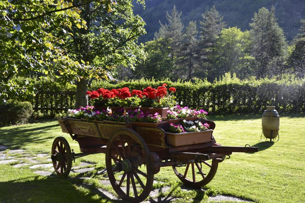 Zahrada ubytování Hotel Bucaneve