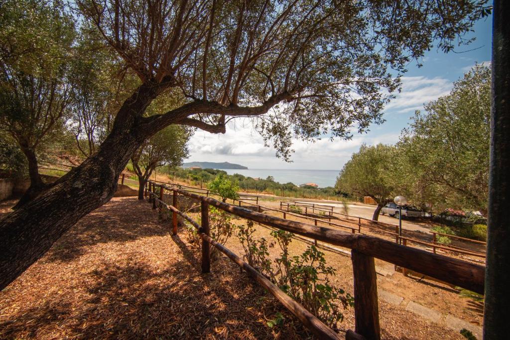 a tree standing next to a wooden fence at Regina Residence Camping in Pisciotta