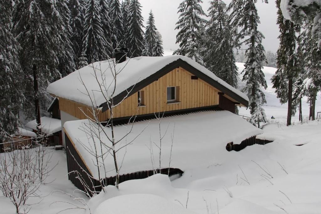a cabin in the snow with snow covered trees at Ferienhaus Waldklause in Schwarzenberg im Bregenzerwald