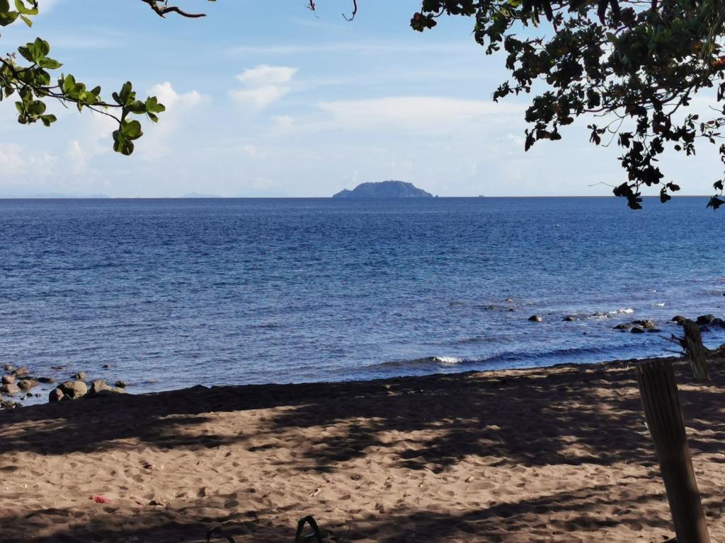 Glamping Dome Dauin Beach Resort - Housity