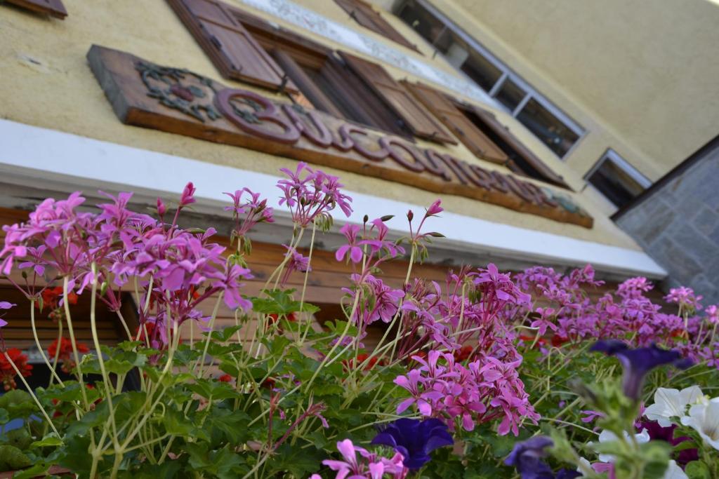 Fotografie z fotogalerie ubytování Hotel Bucaneve v destinaci Bardonecchia