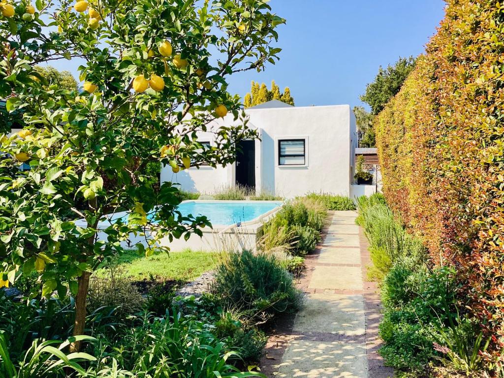 a house with an orange tree and a swimming pool at Suburban Bliss in Stellenbosch