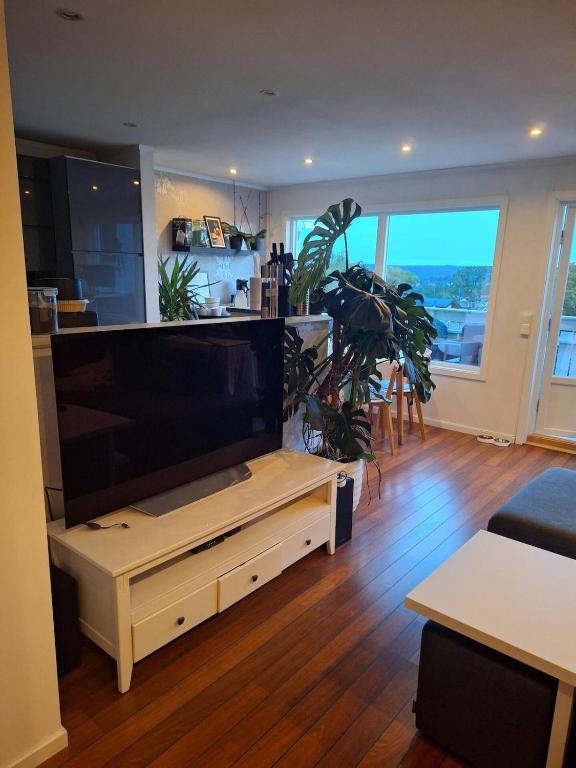 Cozy apartment with private terrace & free parking
