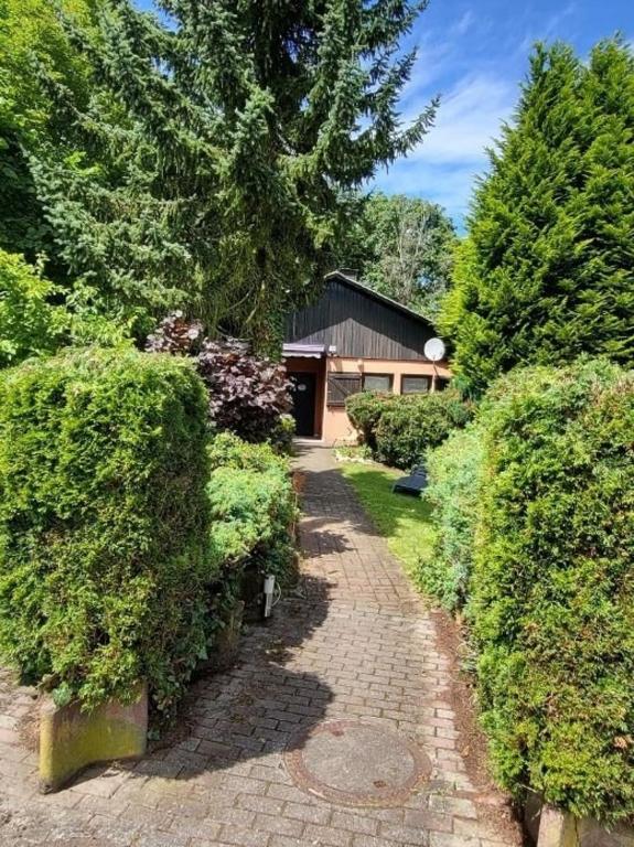 a garden path with bushes and a building in the background at Haus Sonnenblick in Thalfang