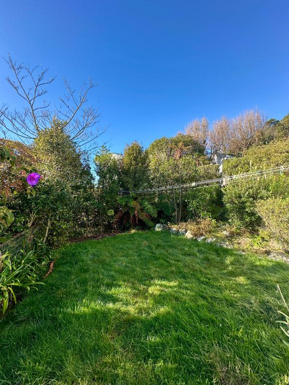 Lemon Tree Apartment Tawa - Resim 18