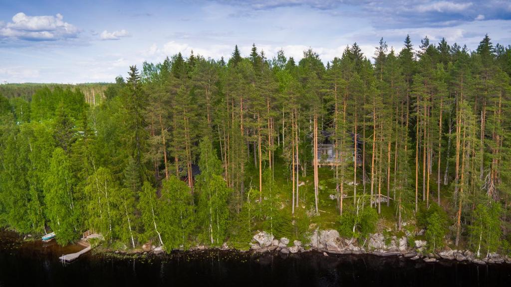 uma vista aérea de uma grande floresta de árvores em Mustikkakallio Luxury Villa em Keuruu