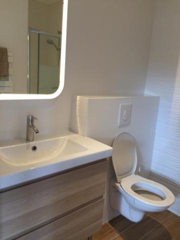 a bathroom with a sink and a toilet and a mirror at Villa MA&amp;VA in Lacanau-Océan