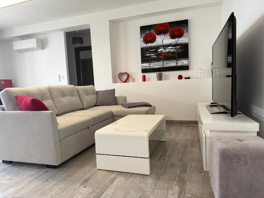 un salon avec un canapé et une télévision à écran plat dans l'établissement Confortable T3 10 min plage, à Lucciana