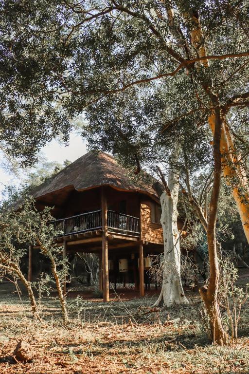 a log cabin with a thatch roof at Ubizane Zululand Tree Lodge in Hluhluwe