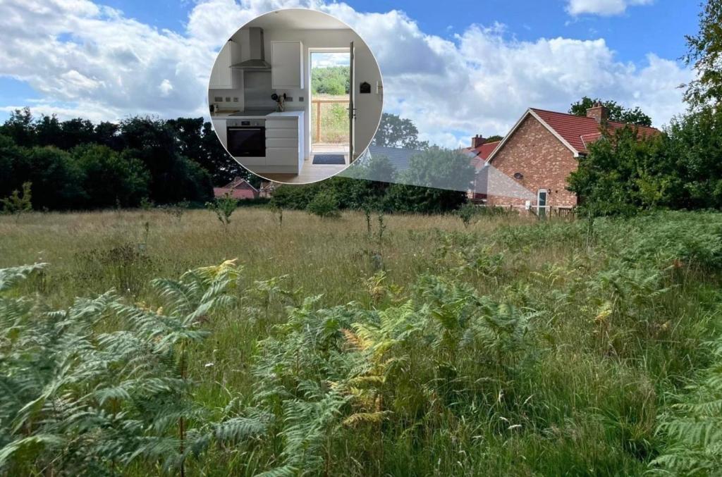 a mirror in a field of tall grass at 8 Iris Cottage, Coastal Hideaway - Suffolk in Wenhaston