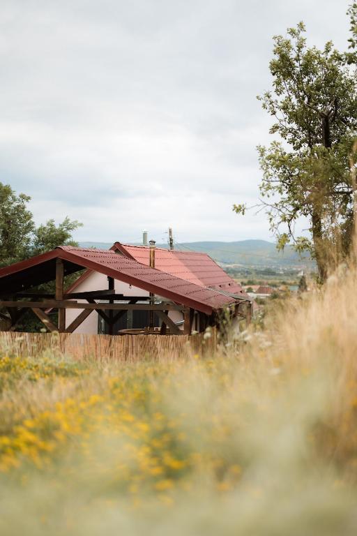 a building with a red roof on top of a field at Panorama Lugasu in Lugaşu de Jos