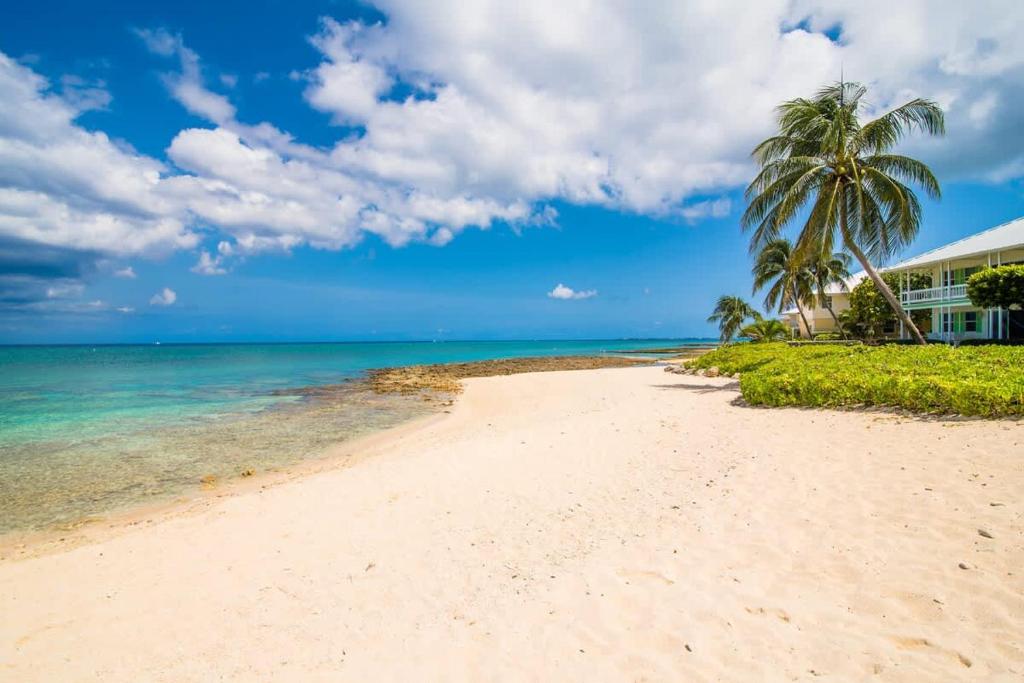 a beach with palm trees and a house at Cocoplum #3 Condo in George Town
