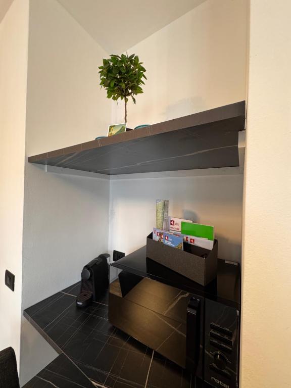 Lakeside Lugano - Resim 45