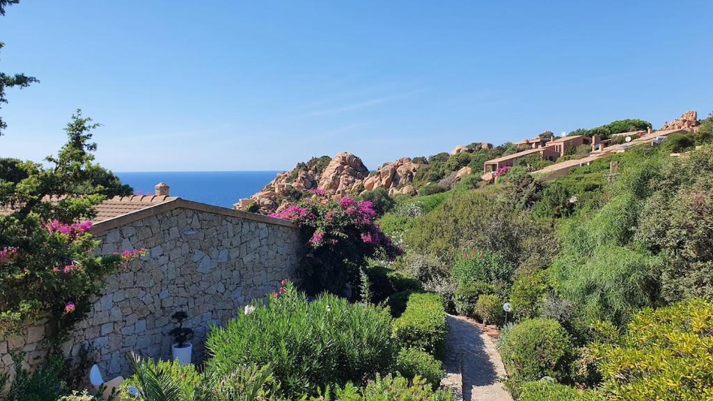 a hill with a house and the ocean in the background at Bougainvilla in Costa Paradiso