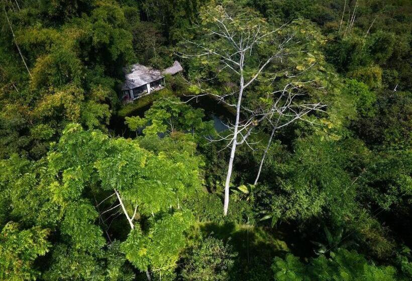 Gallery image of Subtropica Forest Suites in Mindo